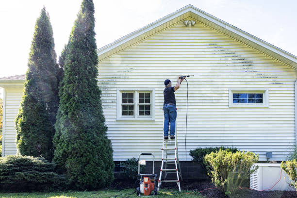 Deck Cleaning Services in Corrigan, TX